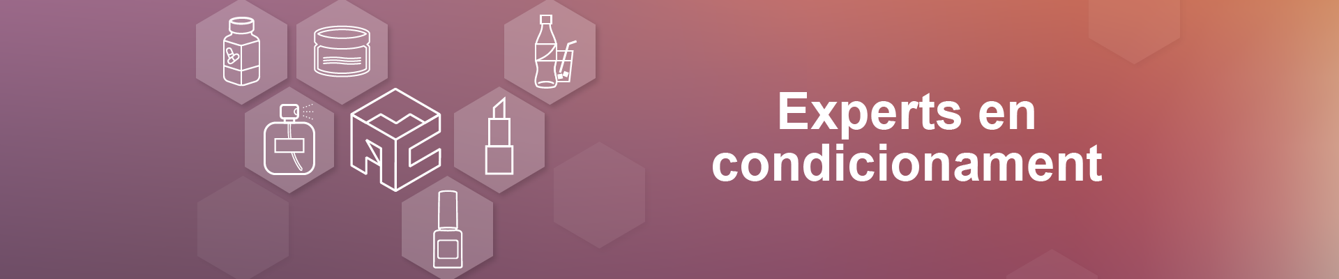 Experts en condicionament