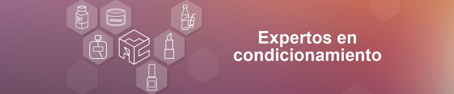 Expertos en condicionamiento